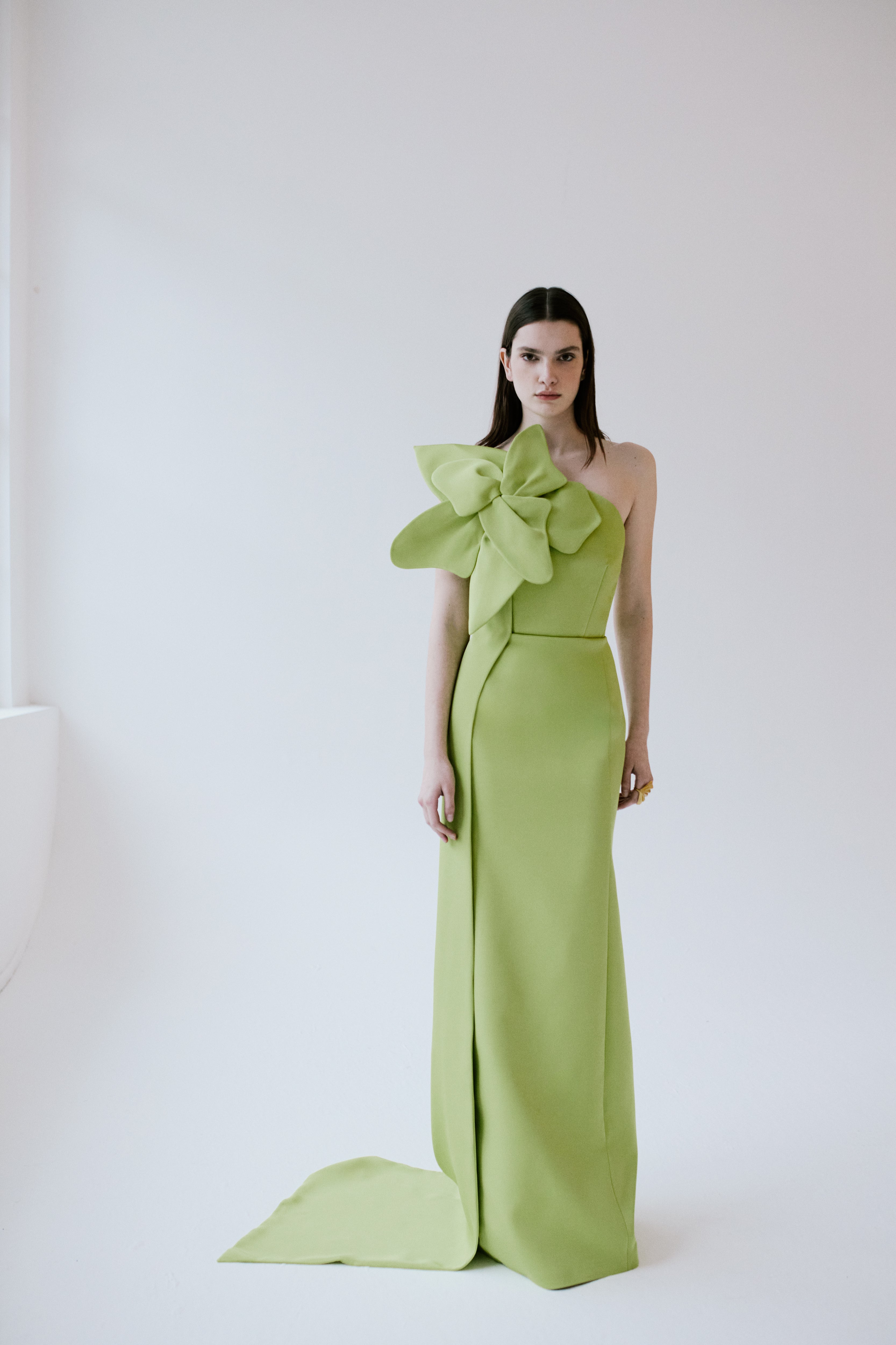 Floral Applique Long Evening Dress